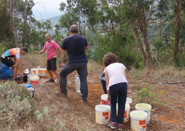 1 Plantación Firgas 16.07.2022