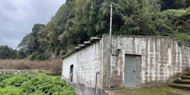 280324 Vivero de El Cedro