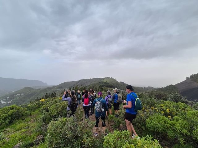 55215402684 1464056a62 c