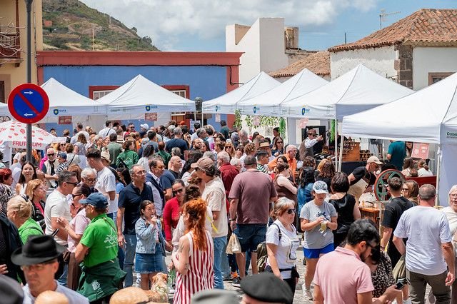 55232020054 6275001295 z