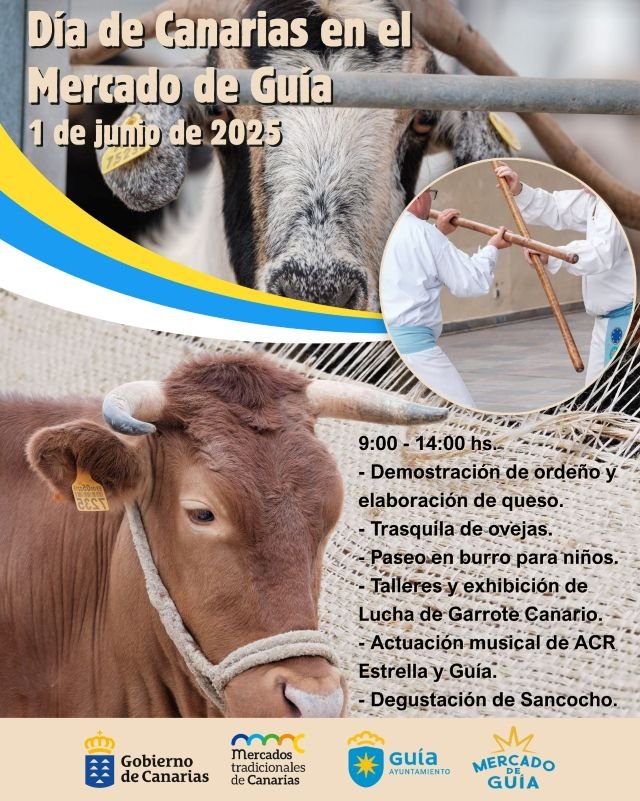 CARTEL DÍA DE CANARIAS