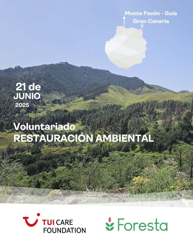 CARTEL FORESTA PAVÓN