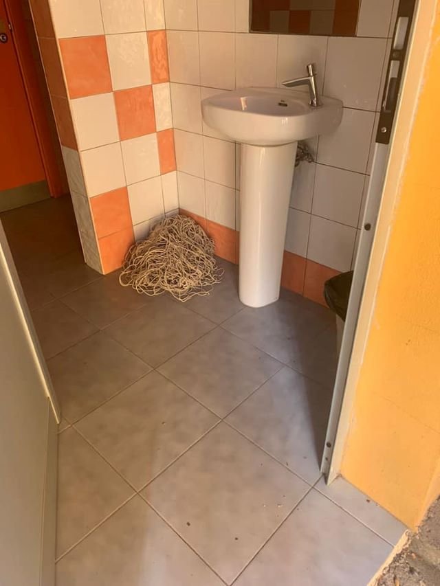 COLEGIO 9