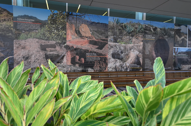 Captura de pantalla 2026 01 04 080515