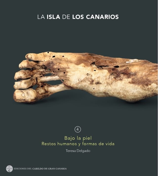 Cubierta del libro Bajo la piel de Teresa Delgado