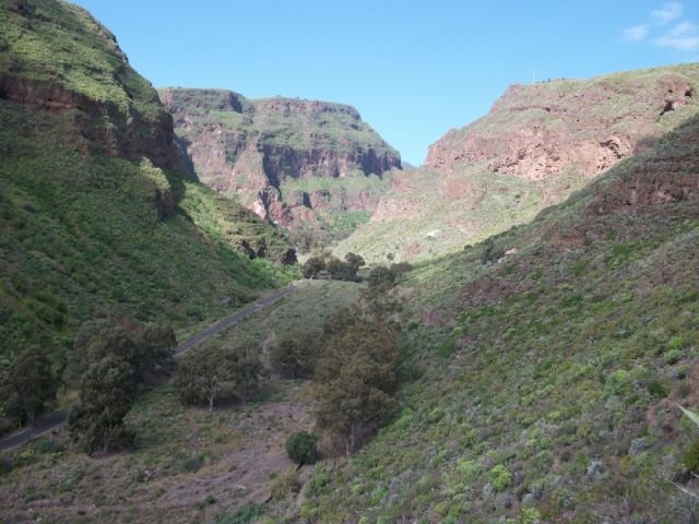 Ruta Barranco de Guayadeque 5