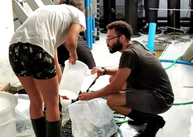 Sede del Parque Científico Tecnológico Marino de Taliarte