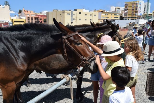 Unos niños acarician a un caballo durante la Feria de Ganado
