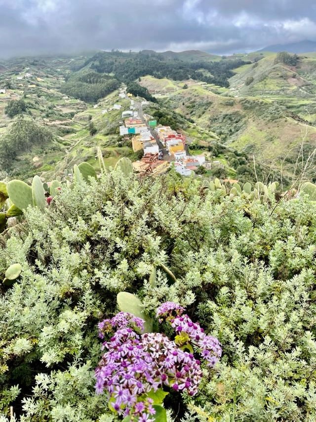 Vista del barrio de Montaña Alta desde el Mirador