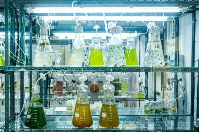 WhatsApp Image 2026 02 11 at 13.02.41 1 1024x682