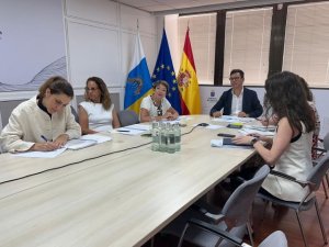 Canarias avanza con el sector de la construcci&oacute;n en el nuevo Plan de Vivienda con nuevos incentivos a la promoci&oacute;n