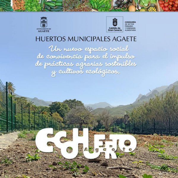 Apertura del plazo de inscripción para participar en los huertos municipales, &quot;ECOHUERTO AGAETE&quot;.