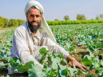 Artículo de opinión: &#039;Rusia debería pensar dos veces antes de invitar a agricultores afganos a Chechenia y Tartaristán&#039;