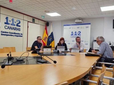 Pol&iacute;tica Territorial estudia con los cabildos las medidas de prevenci&oacute;n de incendios forestales