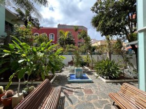 El alumnado de la Escuela de Arte y Superior de Diseño expone sus proyectos de fin de estudios en la la Casa-Museo Antonio Padrón