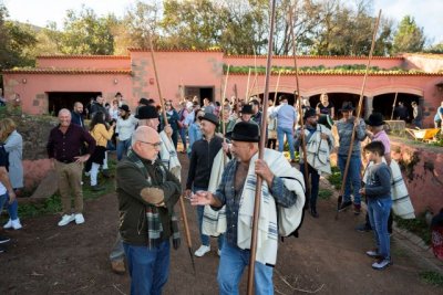 Sector Primario prepara el XXX Concurso-Exposici&oacute;n de Ganado al convocar la ayuda para costear el transporte y permanencia de sus animales