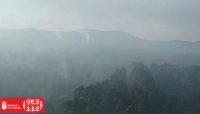 El incendio de Tenerife tiene todo el per&iacute;metro consolidado