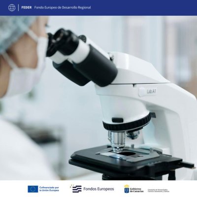 ACIISI fortalece las capacidades estratégicas del ecosistema innovador con más de 1,8 millones de euros