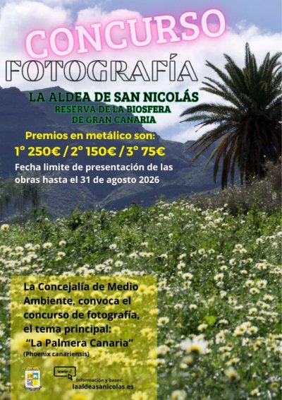 La Aldea de San Nicolás convoca un concurso de fotografía para poner en valor la Palmera Canaria