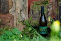 Valleseco cosecha medalla de oro en el concurso internacional Wine &amp; Spirits Awards