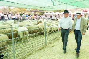 El Cabildo asigna tres millones en ayudas al sector ganadero para paliar el alza de precios por la guerra en Ucrania