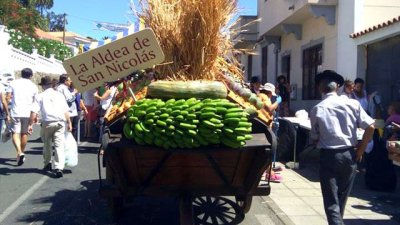El Ayuntamiento de La Aldea de San Nicolás facilita el transporte para acudir a la Romería del Pino