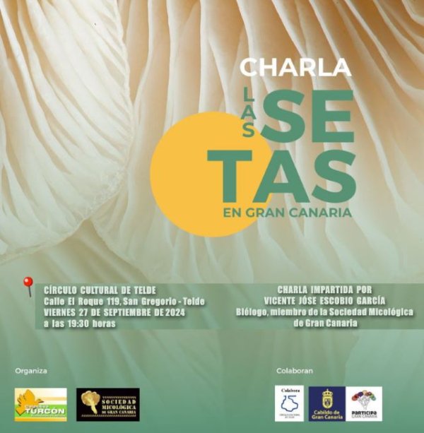 Charla Las setas de Gran Canaria, un recorrido por su presencia en los ecosistemas canarios
