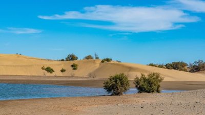 El Cabildo consigue 5,5 millones de euros de la Uni&oacute;n Europea para la recuperaci&oacute;n y resiliencia de Maspalomas