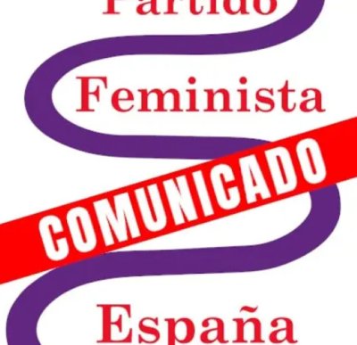 Comunicado del Partido Feminista de Espa&ntilde;a sobre la intervenci&oacute;n policial del 25 de noviembre en Las Palmas de Gran Canaria