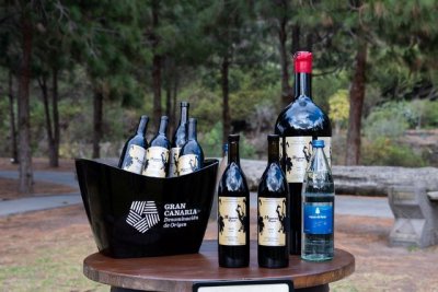 El presidente del Cabildo presenta la cosecha vitivin&iacute;cola de 2021 de Gran Canaria que produjo 275.016 kilos de uva