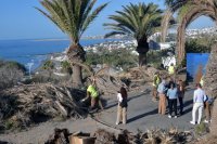 San Bartolomé de Tirajana: El Ayuntamiento y Foresta trabajan en la restauración ambiental de Morro Besudo