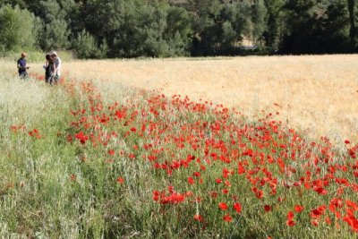 FADEMUR forma en riesgos y seguros a agricultores y ganaderas dentro del programa Plan Allen Rural