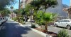 La Gomera: El Ayuntamiento de San Sebasti&aacute;n apuesta por especies nativas y ornamentales para renovar las zonas ajardinadas