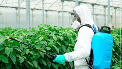 La Gomera: El Cabildo insular oferta cursos de manipulador de productos fitosanitarios de nivel básico y cualificado