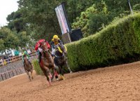Primera jornada de carreras de caballos de 2025 en el Hipódromo de Valleseco
