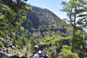 Valleseco organiza la primera ruta de senderismo del a&ntilde;o