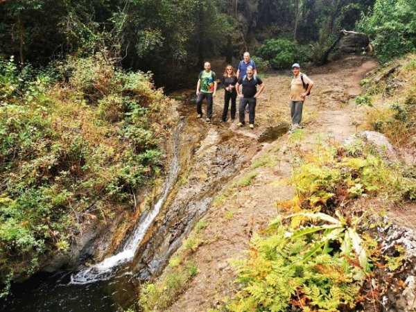 Villa de Firgas: Mejoras en la Reserva Especial de Azuaje