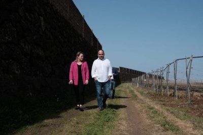 Canarias pone en marcha un proyecto de saneamiento de vi&ntilde;as frente a los efectos del cambio clim&aacute;tico