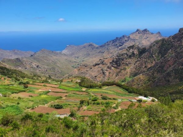 El Gobierno canario concede ayudas a las Asociaciones Profesionales Agrarias sin ánimo de lucro por 200.000 euros