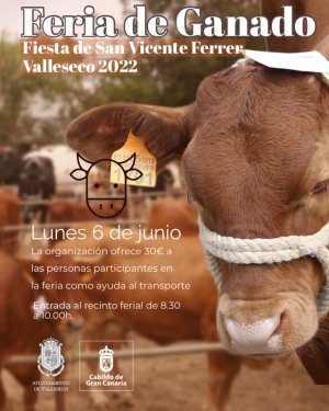 Vuelve la gran Feria de Ganado de las Fiestas del Huevo Duro de Valleseco (Vídeo)