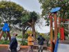 Gáldar: Parques y Jardines lleva a cabo el arreglo de las zonas ajardinadas de Saucillo