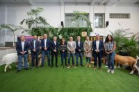 Producciones artesanales de las islas, otras cinco regiones, Portugal e Italia despliegan sus aromas en la VIII Feria Europea del Queso