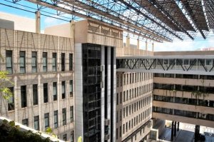 El Hospital Dr. Negrín, autorizado por el Ministerio de Sanidad para tratar con CAR-T a pacientes con mieloma