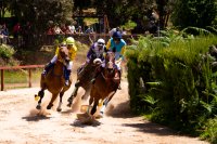 Grandes Carreras de Caballos vuelven al Hipódromo de La Laguna de Valleseco