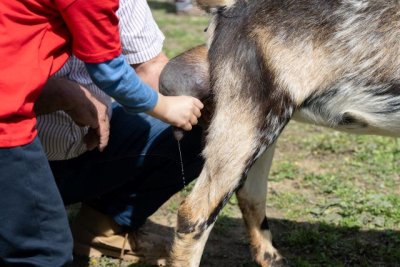 M&aacute;s de 300 alumnos disfrutan de la vida rural en Caideros