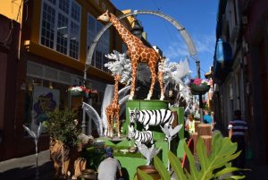 Gáldar: El casco ultima los preparativos para la apertura de su exposición floral este miércoles a las 19.30 horas