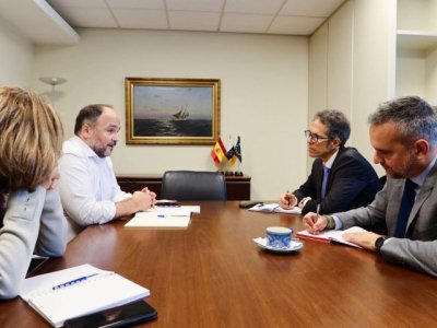 Canarias aborda con la Comisión Europea la posibilidad de un nuevo marco legislativo eléctrico