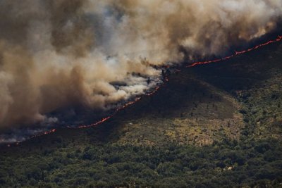 Llamamiento político, social y medioambiental frente al drama de los incendios forestales