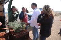 El Gobierno de Canarias logra importantes avances en la restauraci&oacute;n de h&aacute;bitats de las cumbres de Famara