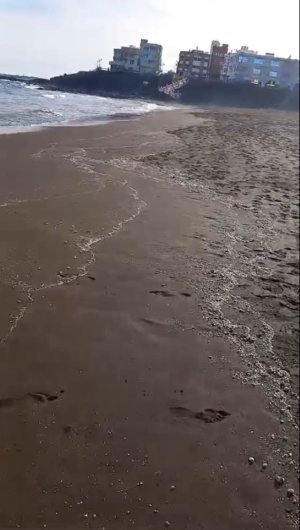 Turcón solicita el desplazamiento de las jaulas flotantes de la costa teldense de Melenara-Salinetas